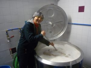 MALT BRASSAGE FÛTS DOLIUM 27 JANVIER 012 - Copie